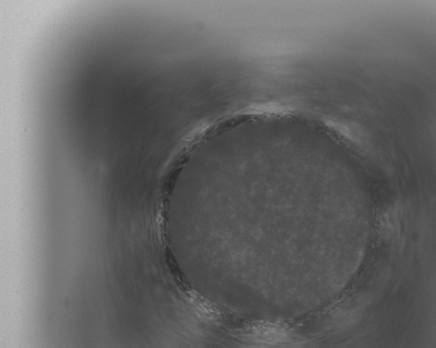 X0000072501254200607290056