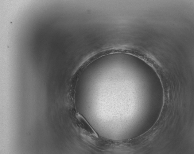 X0000072501256200607290056