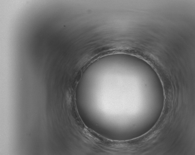 X0000072501257200607290056