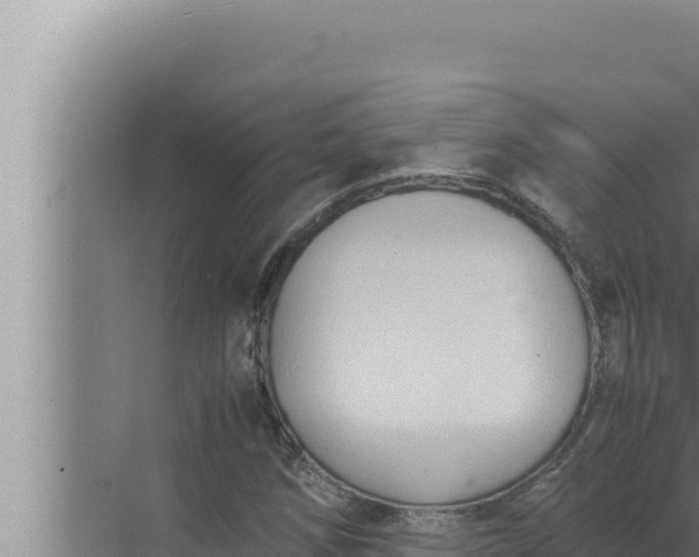 X0000072501258200607290056