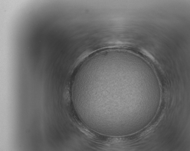 X0000072501259200607290056