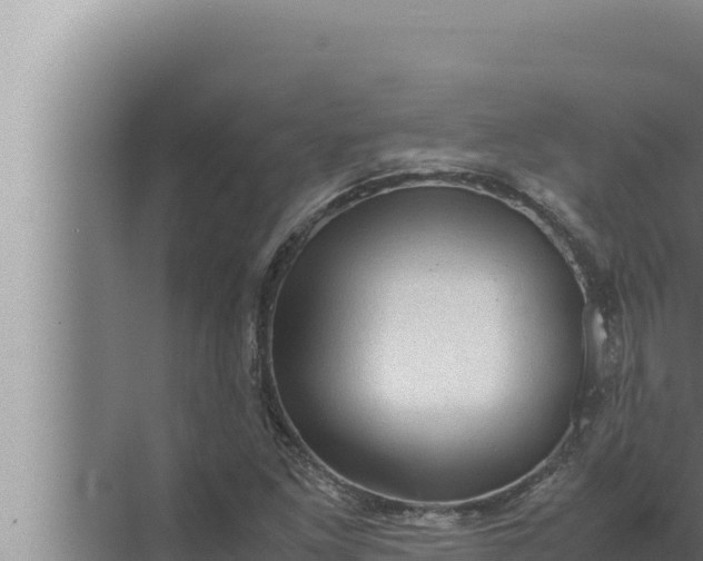 X0000072501261200607290056