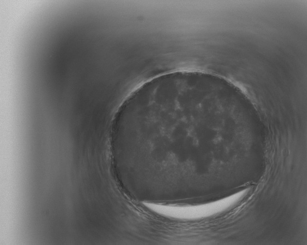 X0000072501263200607290056