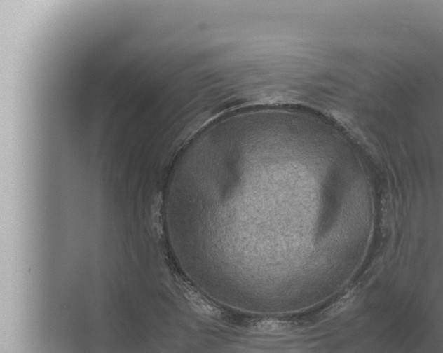 X0000072501265200607290056