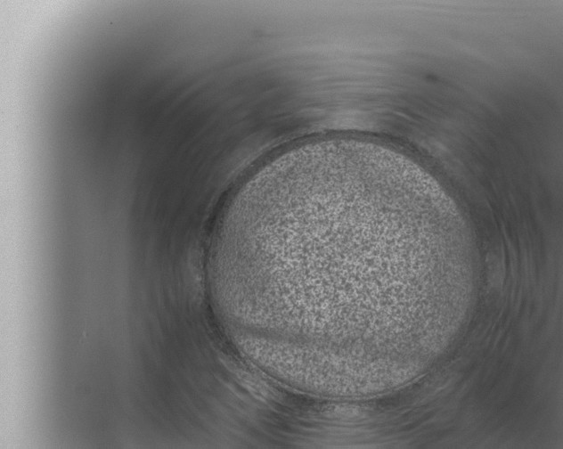 X0000072501266200607290056