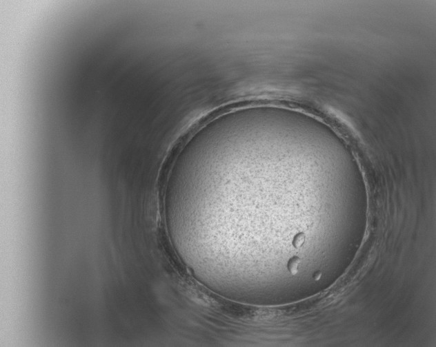 X0000072501267200607290056