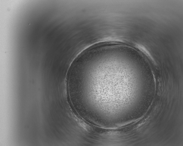 X0000072501268200607290056