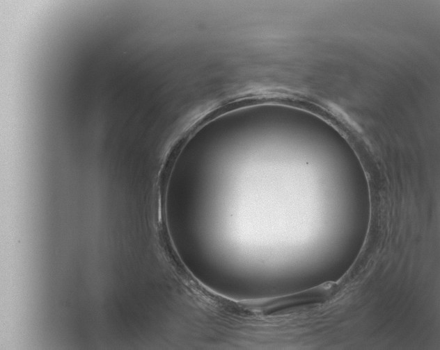 X0000072501269200607290056