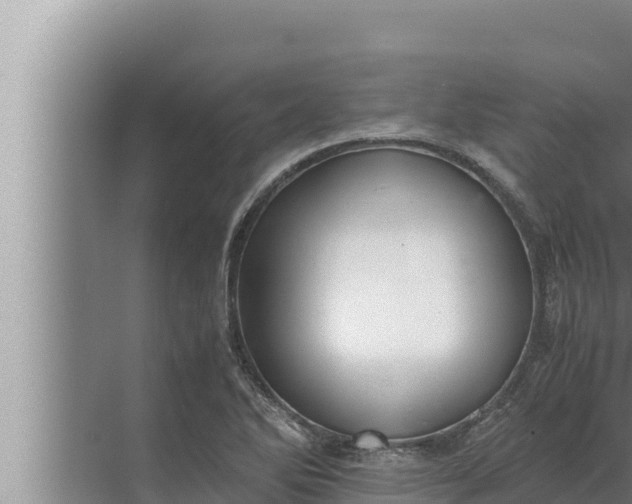 X0000072501270200607290056