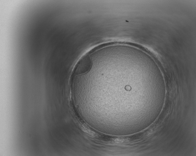 X0000072501271200607290056