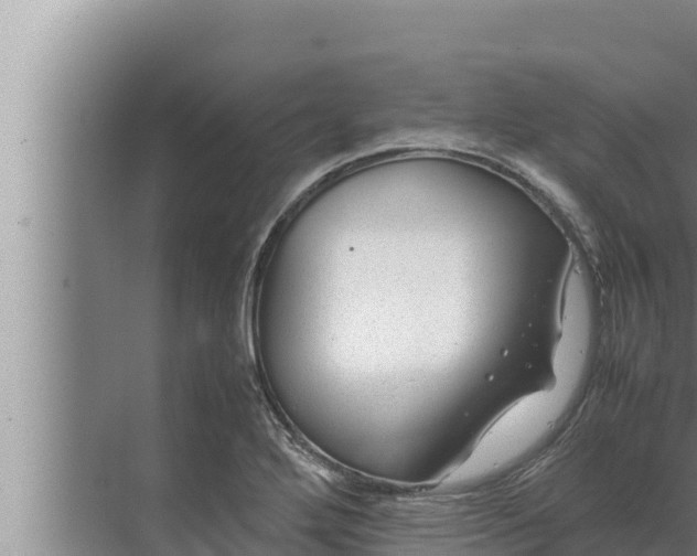 X0000072501272200607290056