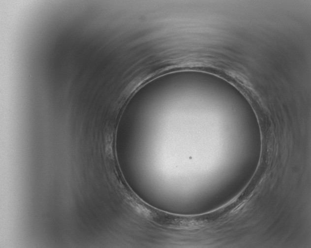 X0000072501273200607290056