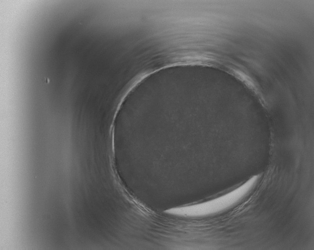 X0000072501275200607290056