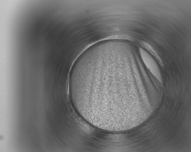 X0000072501276200607290056