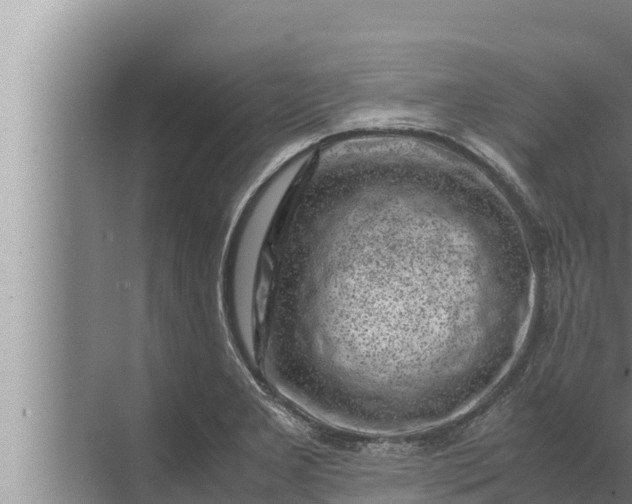 X0000072501277200607290056