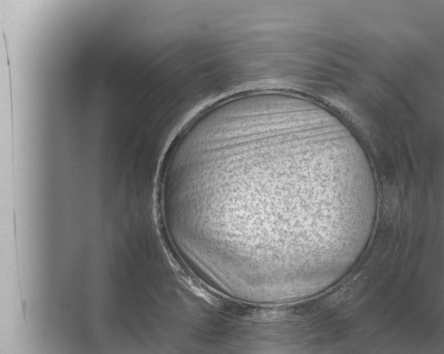 X0000072501278200607290056