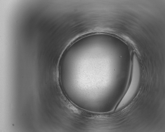 X0000072501280200607290056