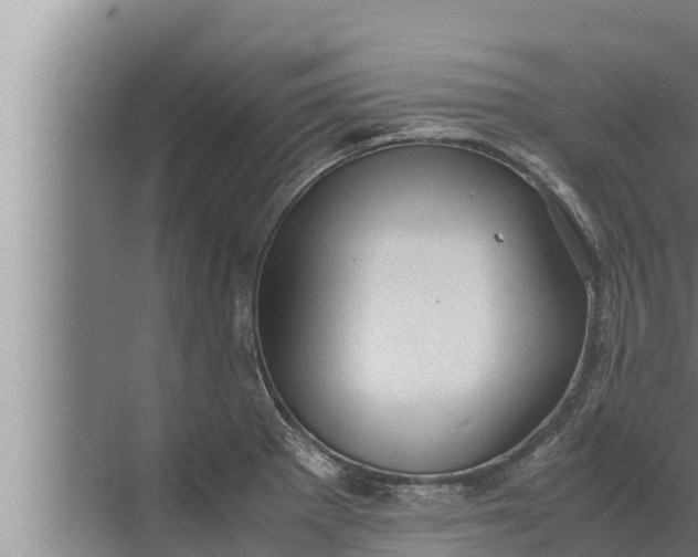 X0000072501281200607290056