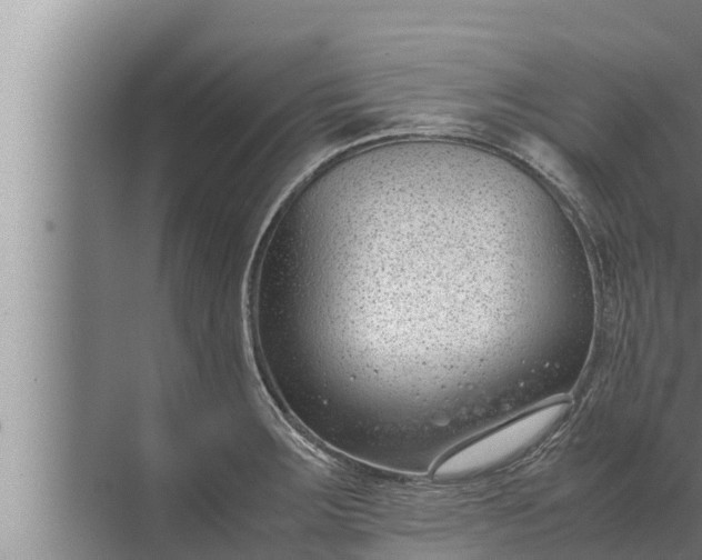 X0000072501283200607290056