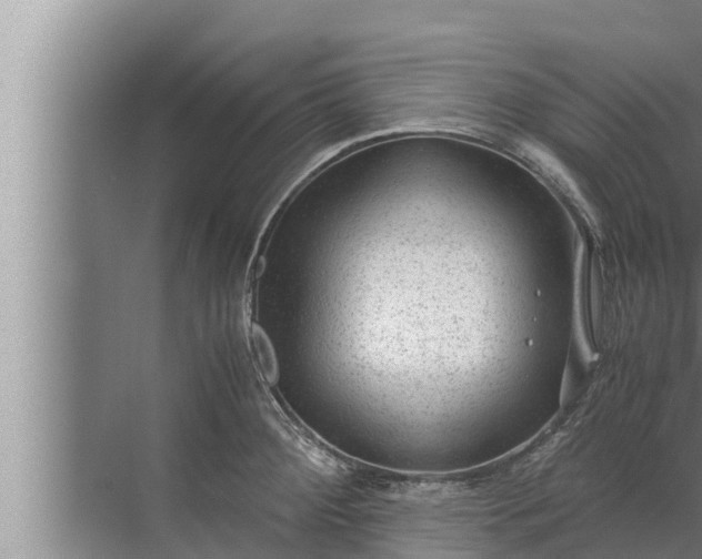 X0000072501284200607290056