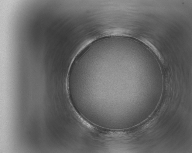 X0000072501285200607290056