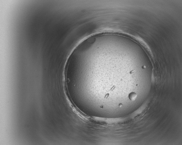 X0000072501287200607290056