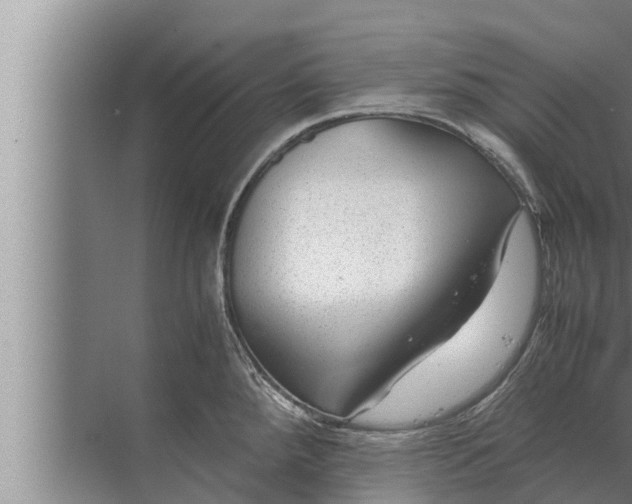 X0000072501288200607290056