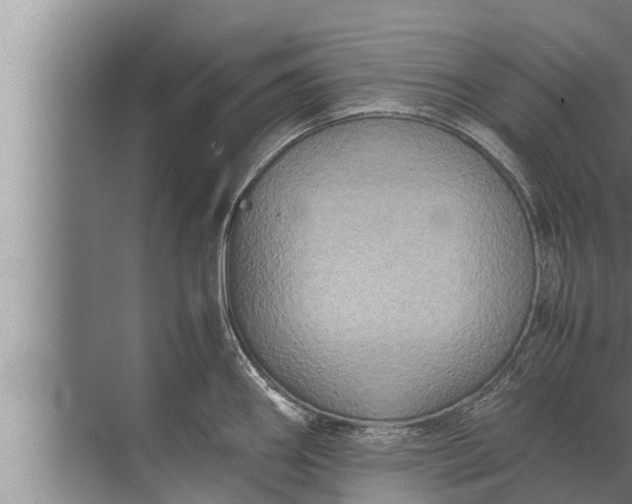 X0000072501290200607290056