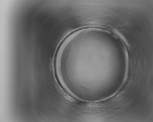 X0000072501291200607290056