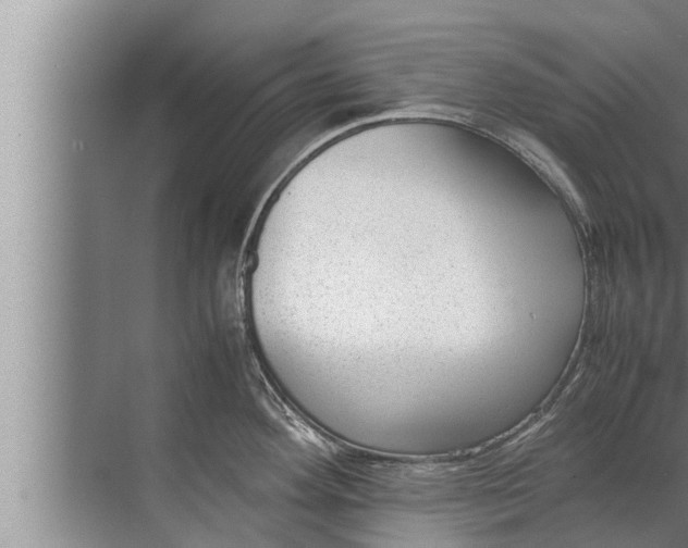 X0000072501292200607290056