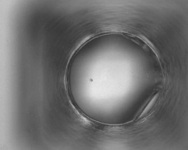 X0000072501293200607290056