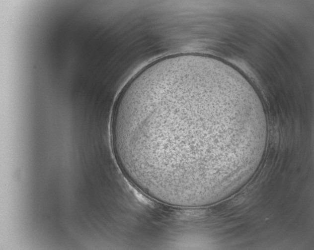 X0000072501294200607290056