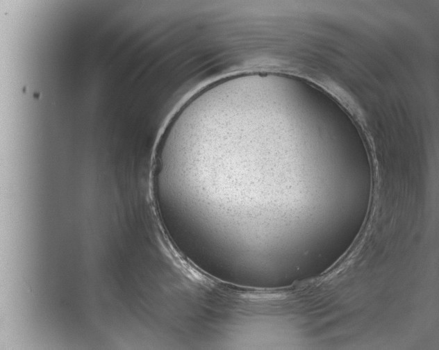 X0000072501296200607290056