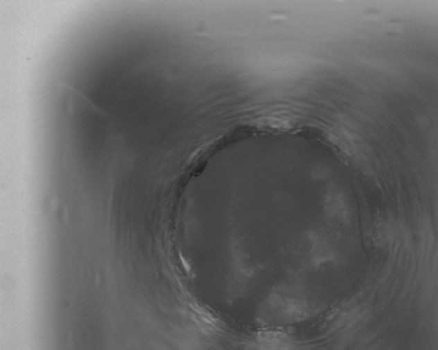 X0000072501297200607290055