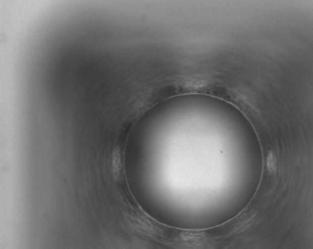 X0000072501299200607290055