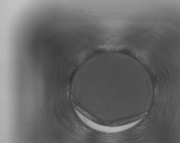 X0000072501300200607290055