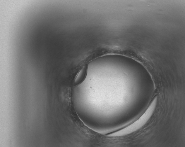 X0000072501301200607290055