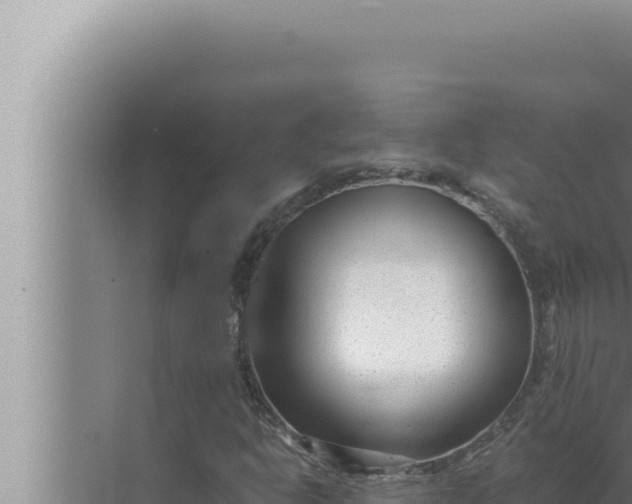 X0000072501302200607290055