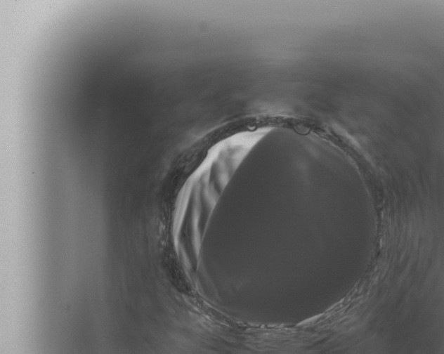 X0000072501303200607290055