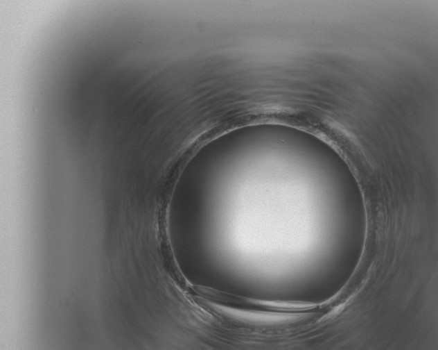 X0000072501305200607290055