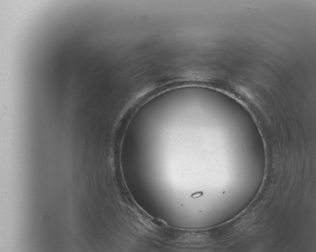 X0000072501307200607290055