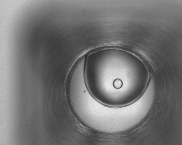 X0000072501308200607290055