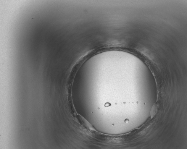 X0000072501309200607290055