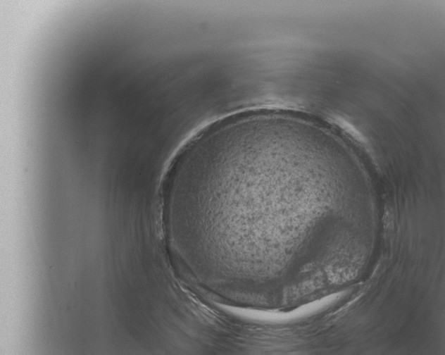 X0000072501310200607290055