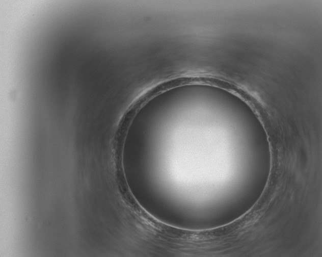 X0000072501311200607290055