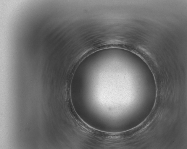 X0000072501313200607290055