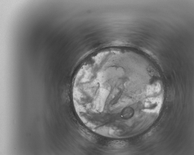 X0000072501314200607290055