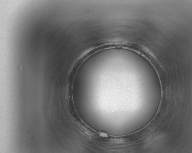 X0000072501315200607290055