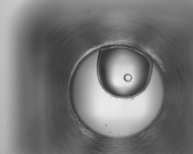 X0000072501316200607290055