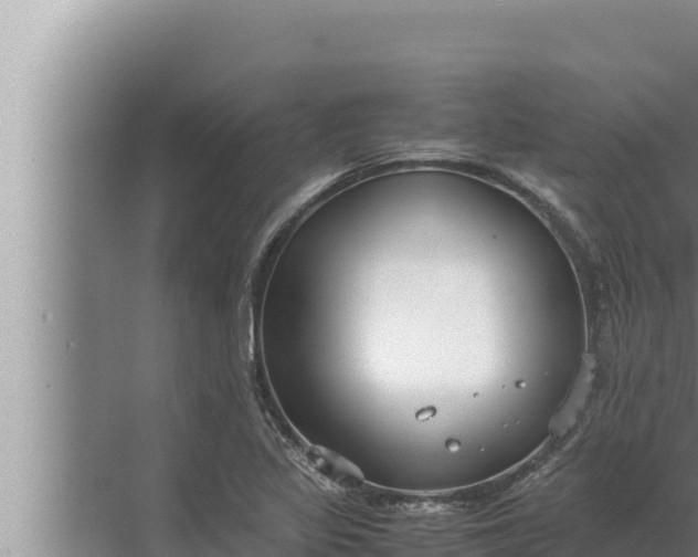 X0000072501317200607290055